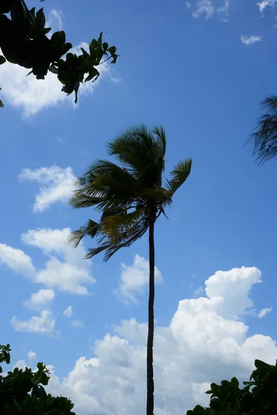 DSC_7660 (Large).JPG